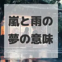 嵐と雨の夢のサムネイル画像