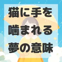 猫に手を噛まれる夢のサムネイル画像