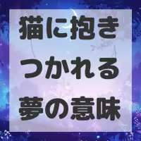 猫に抱きつかれる夢のサムネイル画像