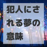 犯人にされる夢のサムネイル画像