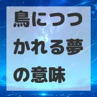 鳥につつかれる夢のサムネイル画像