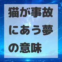 猫が事故にあう夢のサムネイル画像