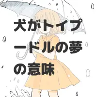 犬がトイプードルの夢のサムネイル画像