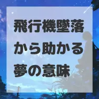 飛行機墜落から助かる夢のサムネイル画像
