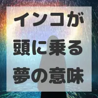 インコが頭に乗る夢のサムネイル画像