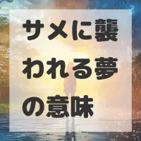 サメに襲われる夢のサムネイル画像