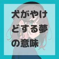 犬がやけどする夢のサムネイル画像