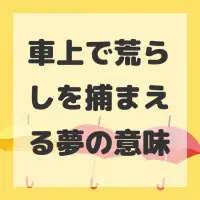 車上で荒らしを捕まえる夢のサムネイル画像