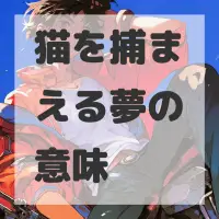 猫を捕まえる夢のサムネイル画像