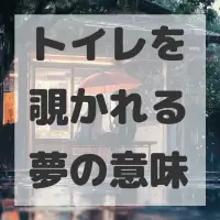 トイレを覗かれる夢のサムネイル画像
