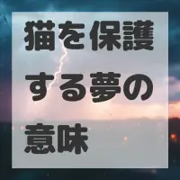 猫を保護する夢のサムネイル画像