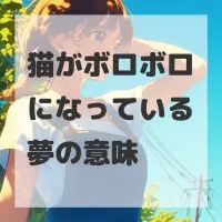 猫がボロボロになっている夢のサムネイル画像