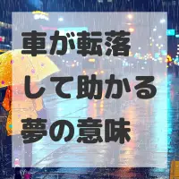 車が転落して助かる夢のサムネイル画像