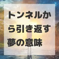 トンネルから引き返す夢のサムネイル画像