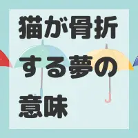 猫が骨折する夢のサムネイル画像