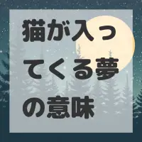 猫が入ってくる夢のサムネイル画像