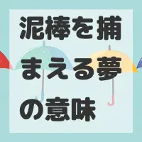 泥棒を捕まえる夢のサムネイル