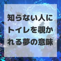 知らない人にトイレを覗かれる夢のサムネイル画像
