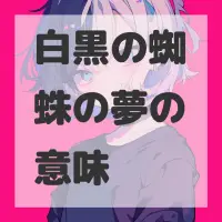 白黒の蜘蛛の夢のサムネイル画像