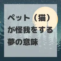 ペット（猫）が怪我をする夢のサムネイル画像
