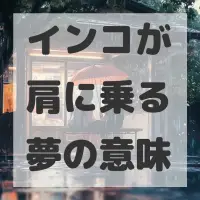 インコが肩に乗る夢のサムネイル画像