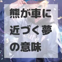 熊が車に近づく夢のサムネイル画像