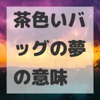 茶色いバッグの夢のサムネイル画像