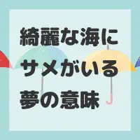 綺麗な海にサメがいる夢のサムネイル画像