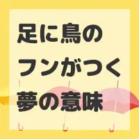 足に鳥のフンがつく夢のサムネイル画像