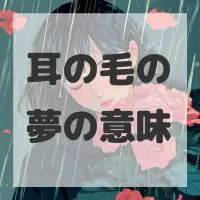 耳の毛の夢のサムネイル画像