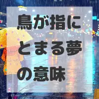 鳥が指にとまる夢のサムネイル画像