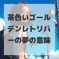 茶色いゴールデンレトリバーの夢のサムネイル画像