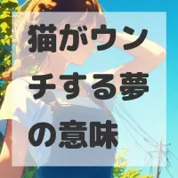 猫がウンチする夢のサムネイル画像