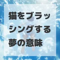 猫をブラッシングする夢のサムネイル画像