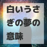 白いうさぎの夢のサムネイル画像
