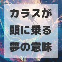 カラスが頭に乗る夢のサムネイル画像