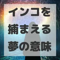 インコを捕まえる夢のサムネイル画像