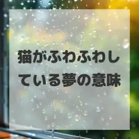 猫がふわふわしている夢のサムネイル画像