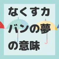 なくすカバンの夢のサムネイル画像