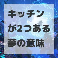 キッチンが2つある夢のサムネイル画像