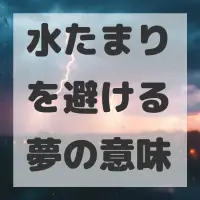 水たまりを避ける夢のサムネイル画像