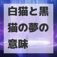白猫と黒猫の夢のサムネイル画像