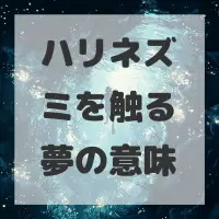ハリネズミを触る夢のサムネイル画像