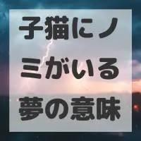子猫にノミがいる夢のサムネイル画像