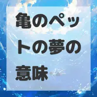 亀のペットの夢のサムネイル画像