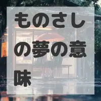 ものさしの夢のサムネイル画像