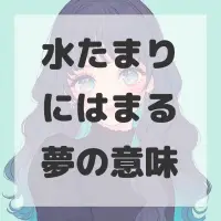 水たまりにはまる夢のサムネイル画像