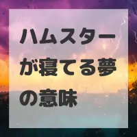 ハムスターが寝てる夢のサムネイル画像