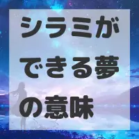 シラミができる夢のサムネイル画像