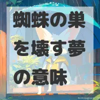 蜘蛛の巣を壊す夢のサムネイル画像
